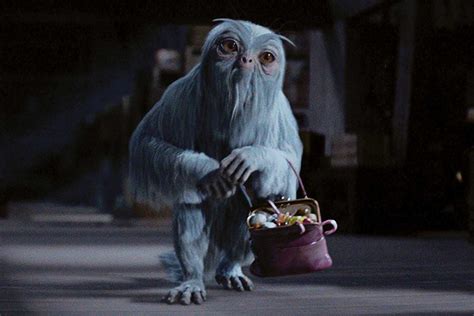 hogwarts legacy alle demiguise|How to find all the Demiguise Statues in Hogwarts。